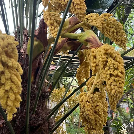 , Piscine, Jardin, Parking