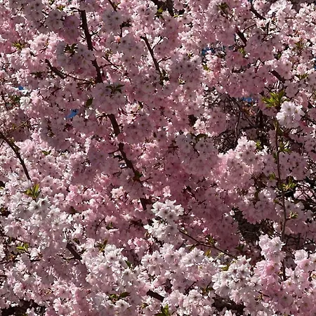 Alloggio in famiglia , Piscine, Jardin, Parking
